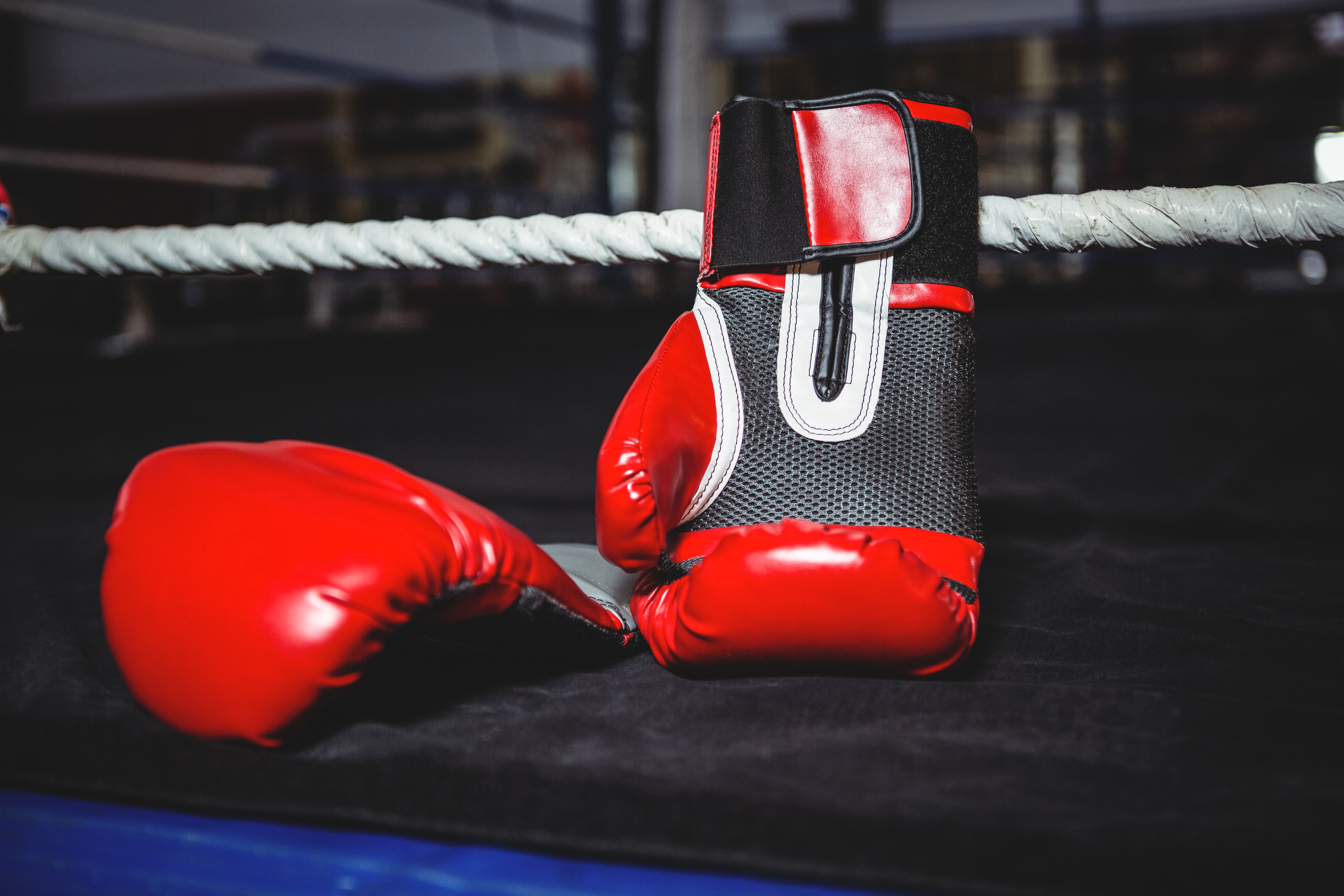 boxing gloves manufacturers