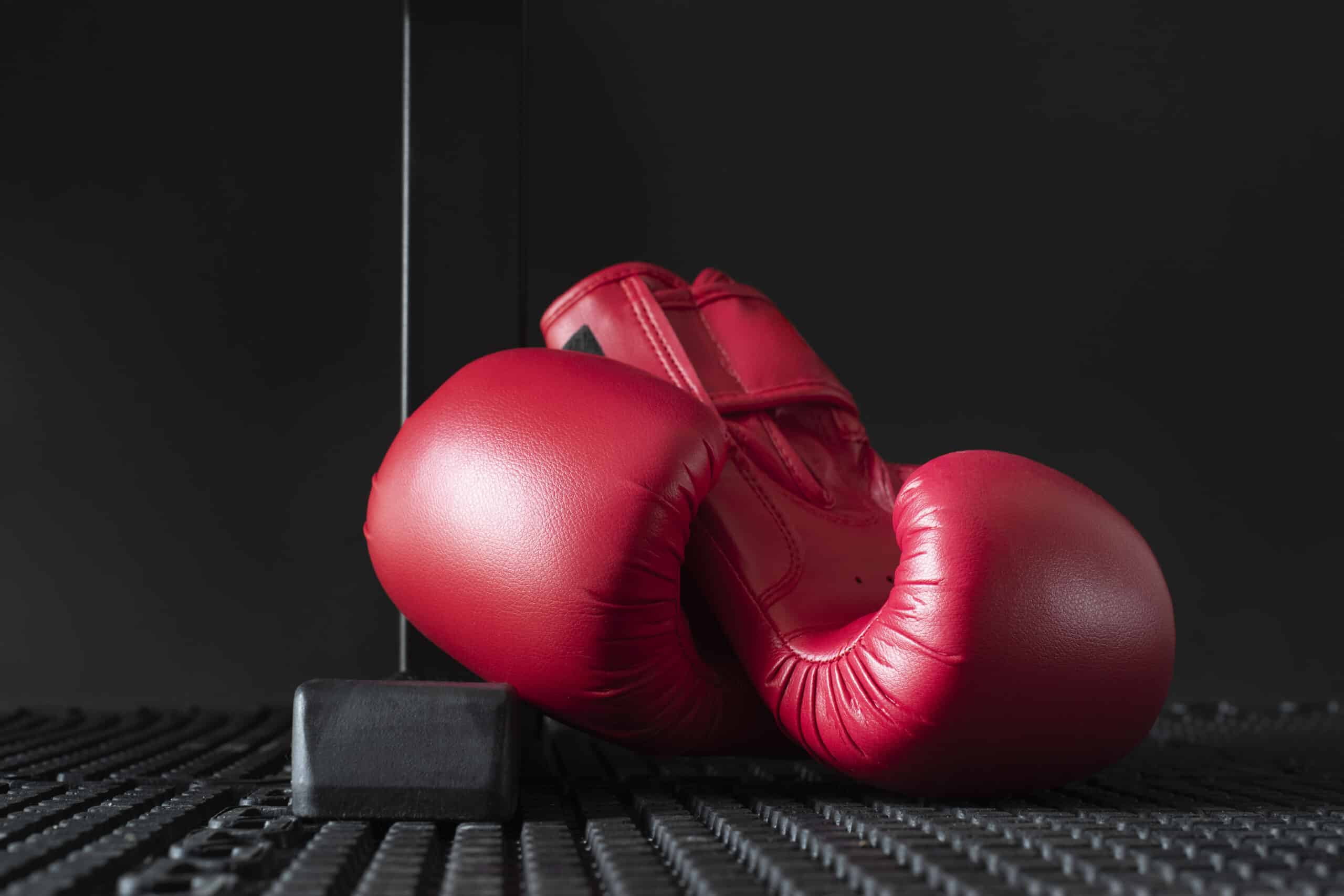 Qualities of Good Boxing Glove Companies