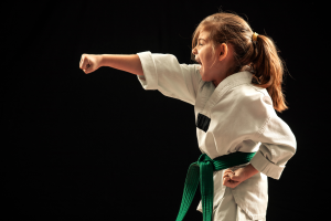 taekwondo training equipment
