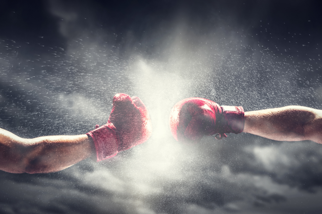 branded boxing gloves