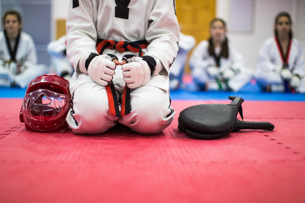 taekwondo training equipment