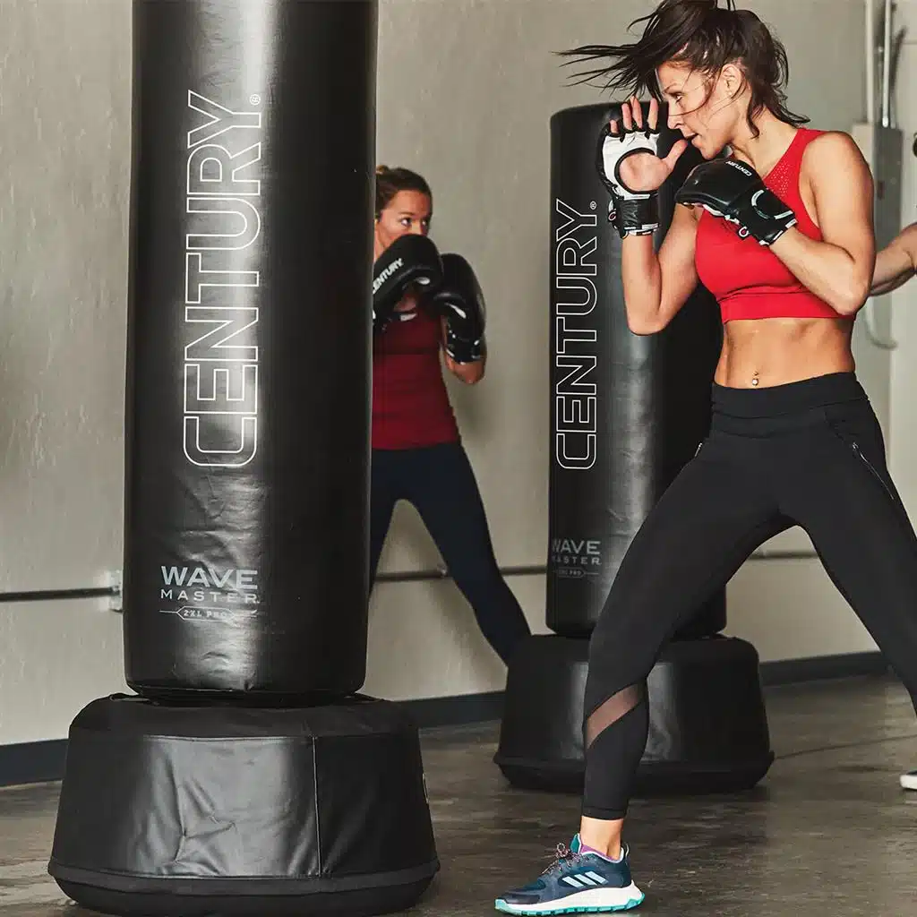 Two women engaging in boxing with a freestanding punch bag for boxing. 