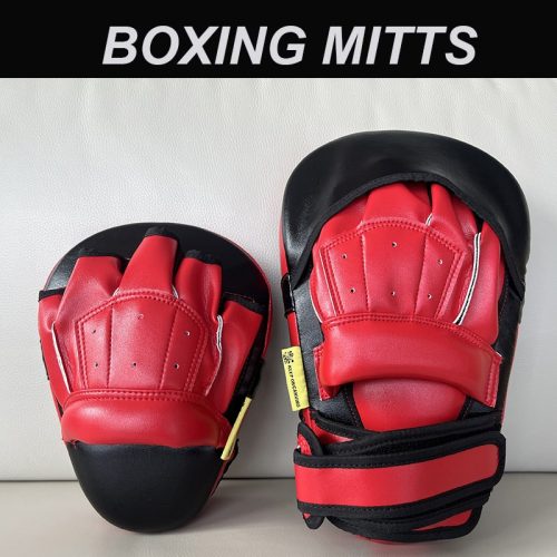 MITTS2